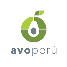 Avo